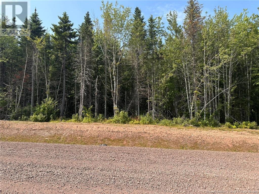 Lot 25-49 Snowfox Drive, Irishtown, New Brunswick  E1H 2N5 - Photo 4 - NB123085