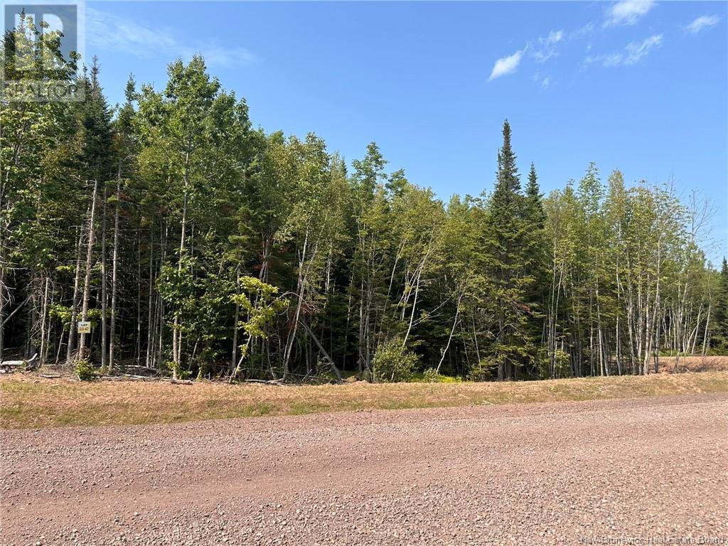 Lot 25-47 Snowfox Drive, Irishtown, New Brunswick  E1H 2N5 - Photo 4 - NB123083
