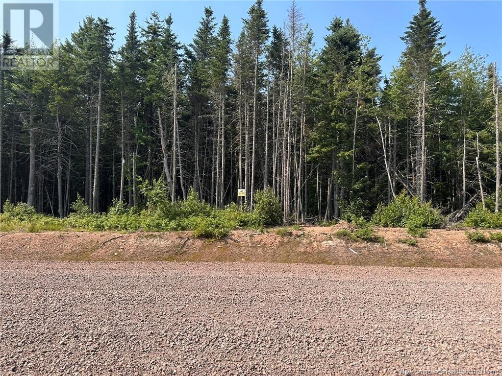 Lot 25-57 Snowfox Drive, Irishtown, New Brunswick  E1H 2N5 - Photo 4 - NB123091