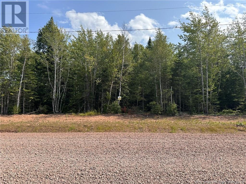Lot 25-56 Snowfox Drive, Irishtown, New Brunswick  E1H 2N5 - Photo 4 - NB123090