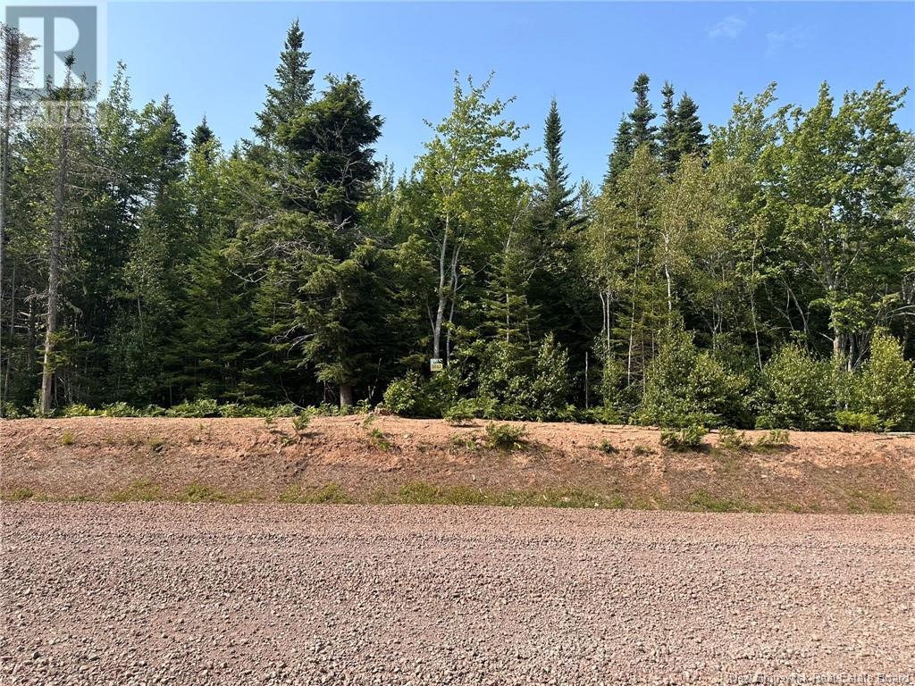 Lot 25-55 Snowfox Drive, Irishtown, New Brunswick  E1H 2N5 - Photo 4 - NB123089