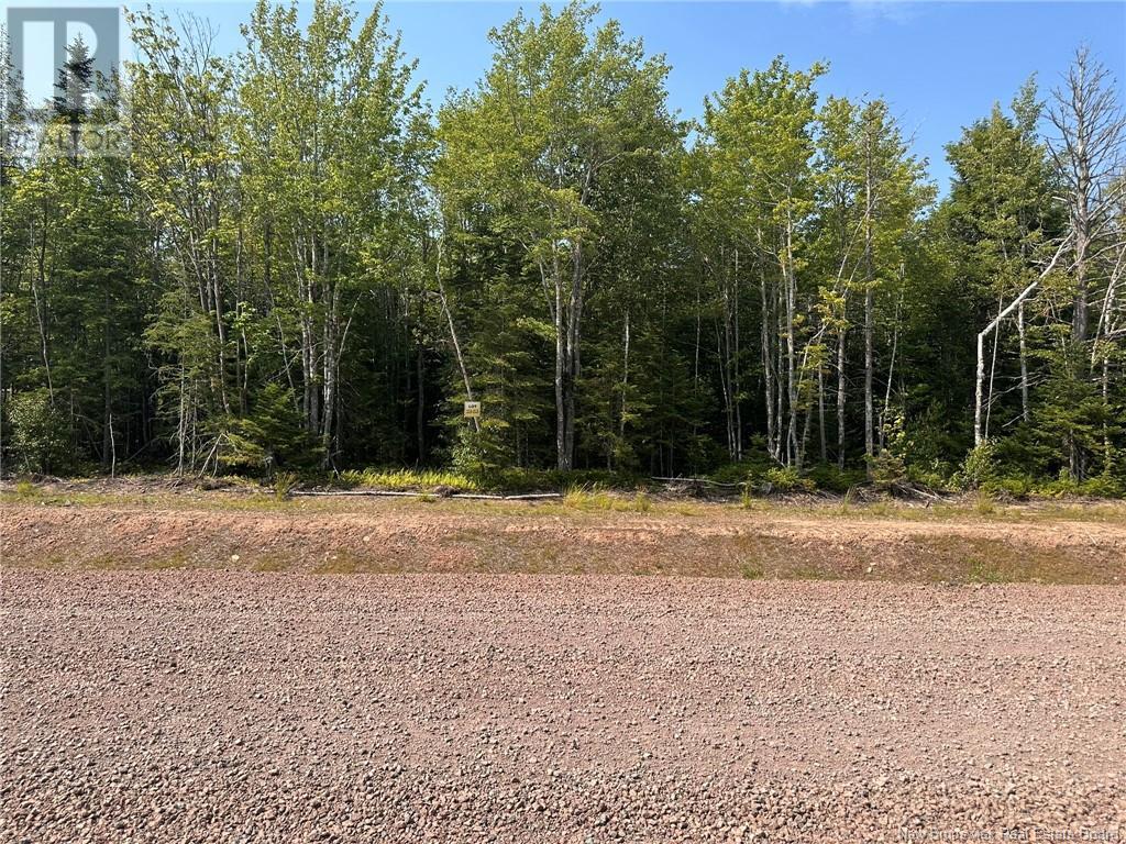 Lot 25-53 Snowfox Drive, Irishtown, New Brunswick  E1H 2N5 - Photo 4 - NB123088