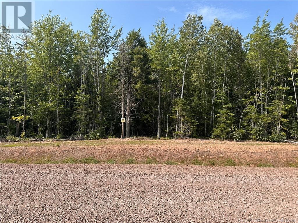 Lot 25-51 Snowfox Drive, Irishtown, New Brunswick  E1H 2N5 - Photo 4 - NB123086