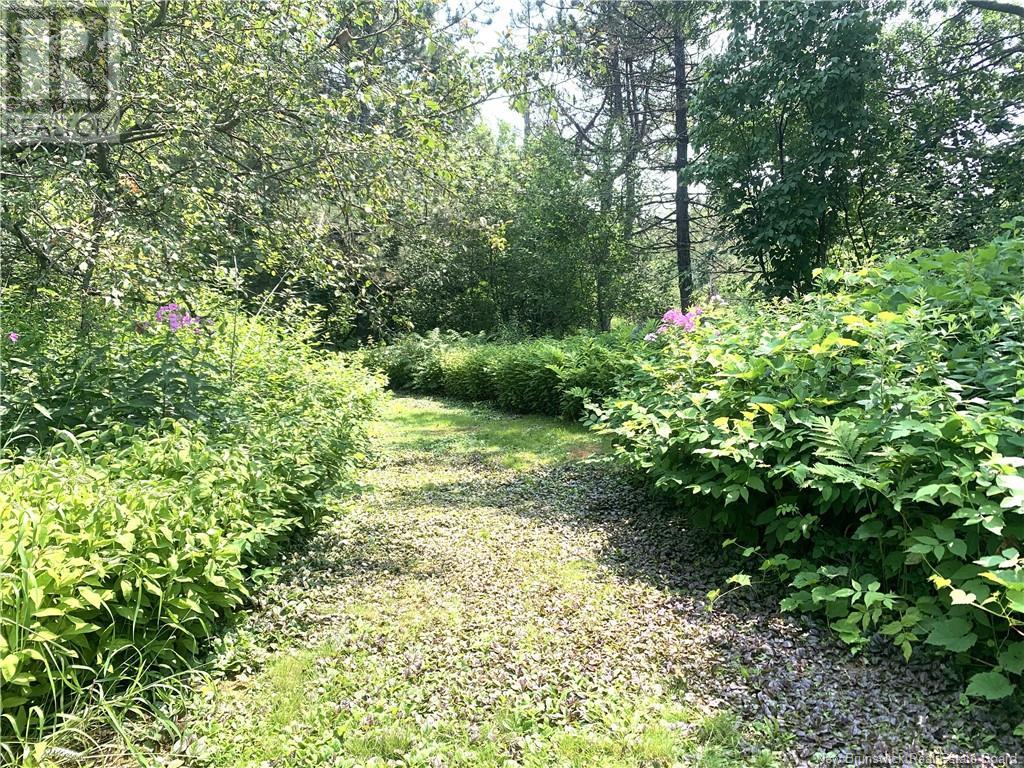 367 Route 105, Maugerville, New Brunswick  E3A 8N6 - Photo 42 - NB123157