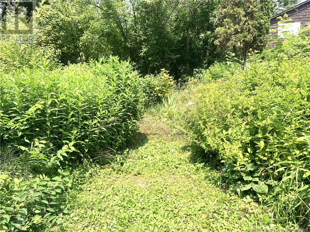 367 Route 105, Maugerville, New Brunswick  E3A 8N6 - Photo 44 - NB123157