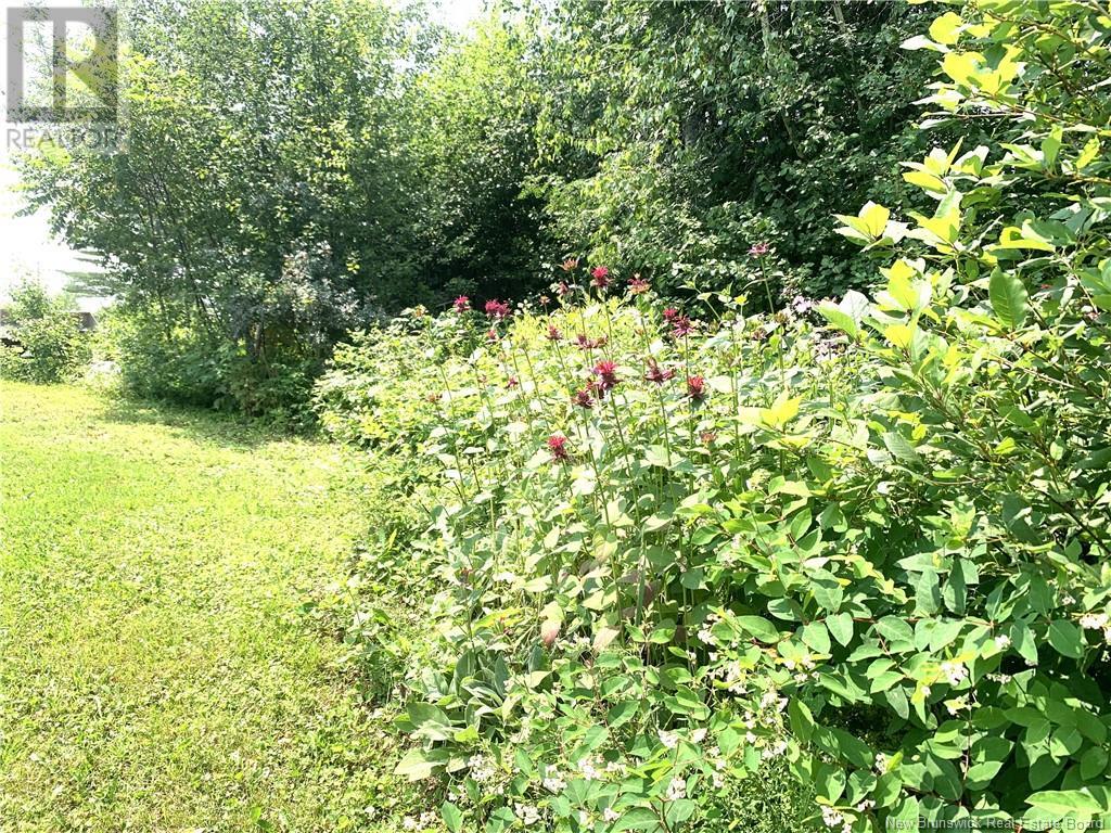 367 Route 105, Maugerville, New Brunswick  E3A 8N6 - Photo 49 - NB123157