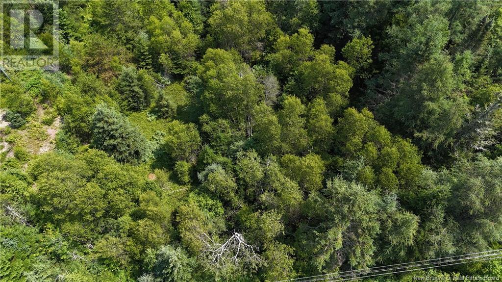 Route 780, Utopia, New Brunswick  E5C 2G1 - Photo 3 - NB123177