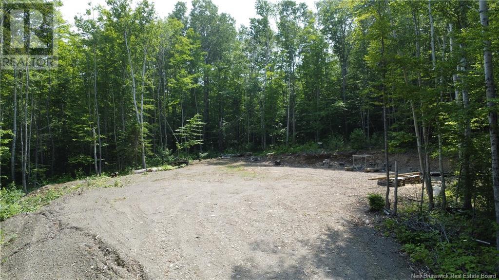 Lot Sormany, Sormany, New Brunswick  E8K 3A8 - Photo 3 - NB123185