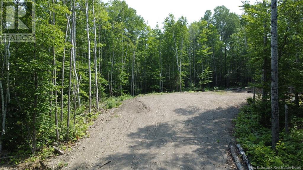 Lot Sormany, Sormany, New Brunswick  E8K 3A8 - Photo 4 - NB123185