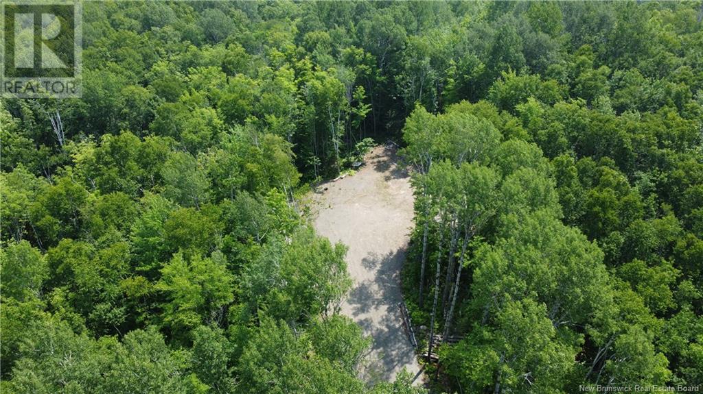 Lot Sormany, Sormany, New Brunswick  E8K 3A8 - Photo 5 - NB123185