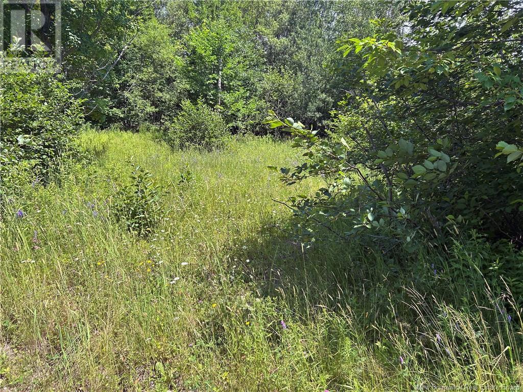 32 Memorial Drive, Minto, New Brunswick  O0O 0O0 - Photo 4 - NB123209
