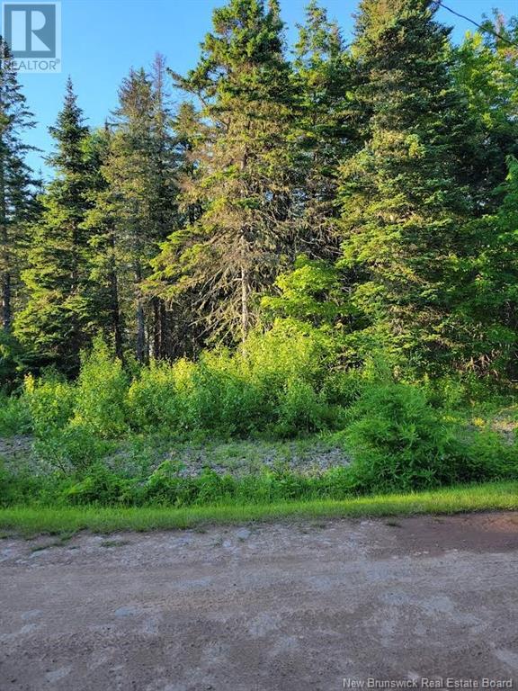 Lot 79-18 Morton Lane, Cumberland Bay, New Brunswick  E4A 3A3 - Photo 3 - NB123193