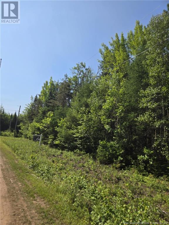 Lot 79-18 Morton Lane, Cumberland Bay, New Brunswick  E4A 3A3 - Photo 7 - NB123193
