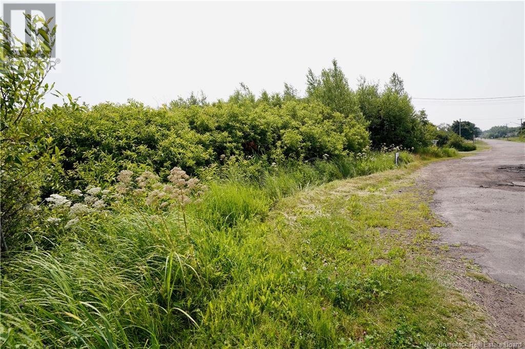 Lot Rue De L'aboiteau, Cap-Pelé, New Brunswick E4N 1P2 - Photo 15 - NB123176