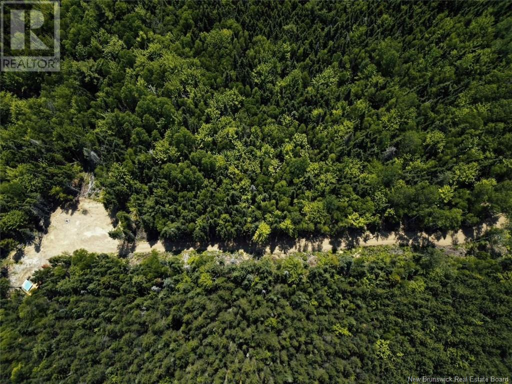Lot 22-1 Stoney Creek Road, Stoney Creek, New Brunswick  E1J 1N6 - Photo 5 - NB123158