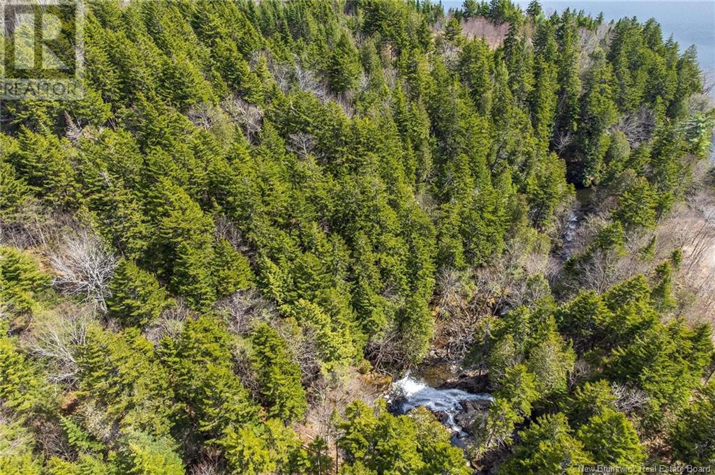 Lot Moss Glen Shore Road, Clifton Royal, New Brunswick  E5S 2C3 - Photo 10 - NB123274