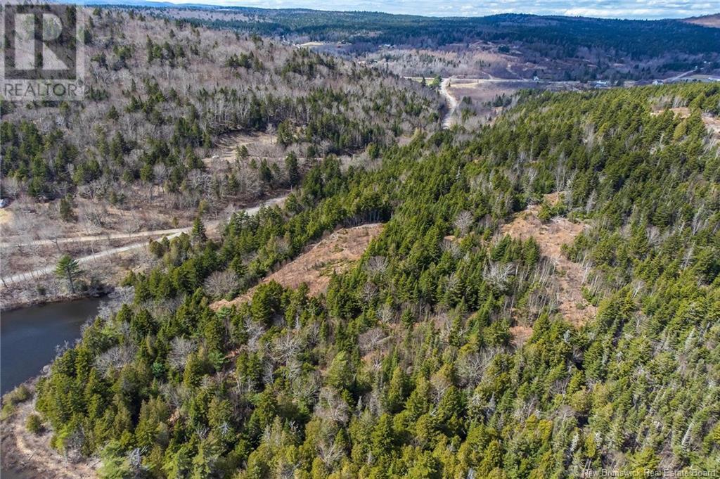 Lot Moss Glen Shore Road, Clifton Royal, New Brunswick  E5S 2C3 - Photo 14 - NB123274