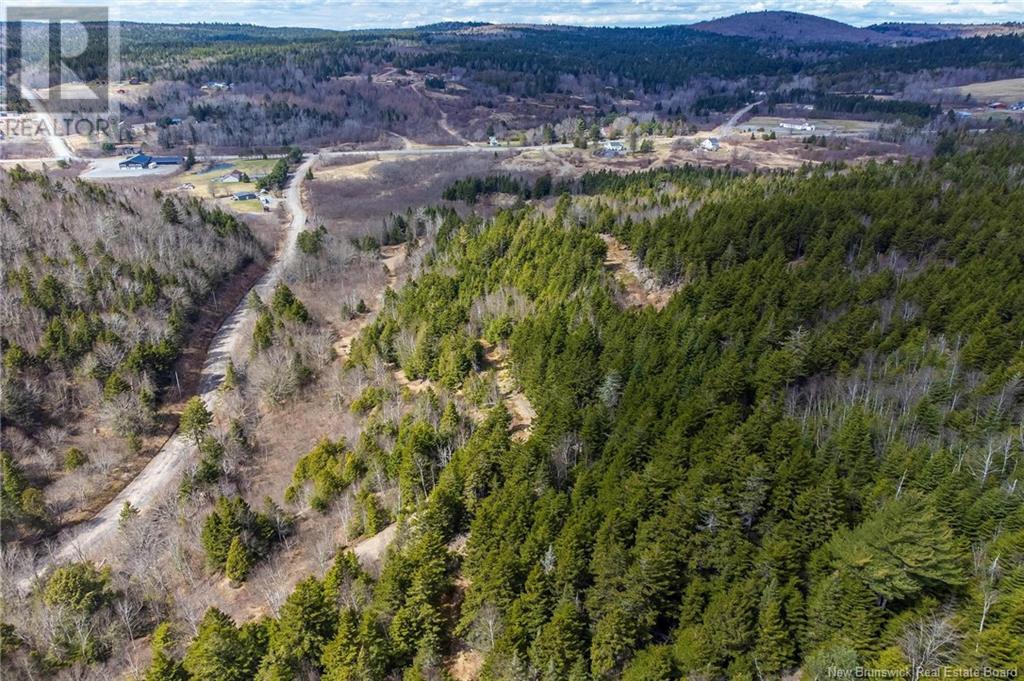 Lot Moss Glen Shore Road, Clifton Royal, New Brunswick  E5S 2C3 - Photo 16 - NB123274