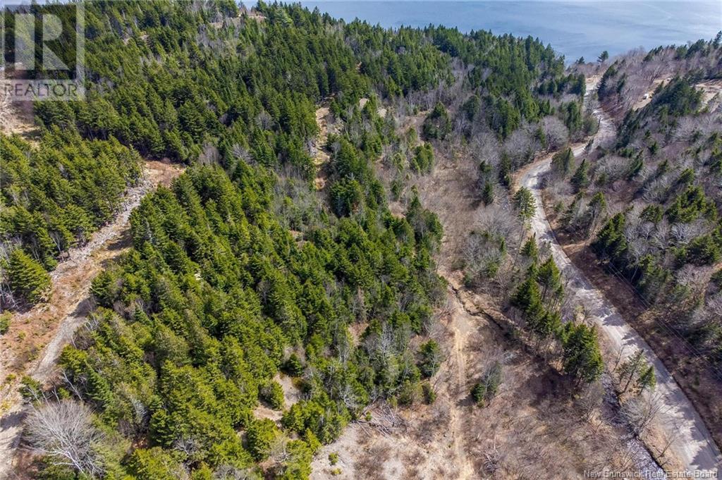 Lot Moss Glen Shore Road, Clifton Royal, New Brunswick  E5S 2C3 - Photo 18 - NB123274