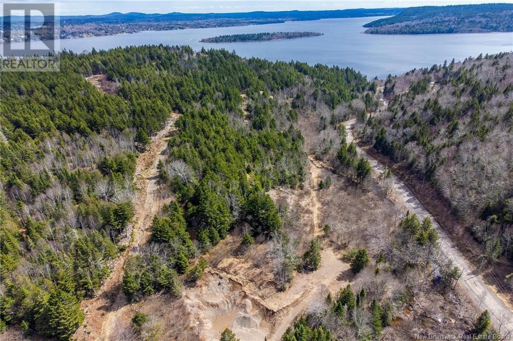Lot Moss Glen Shore Road, Clifton Royal, New Brunswick  E5S 2C3 - Photo 19 - NB123274