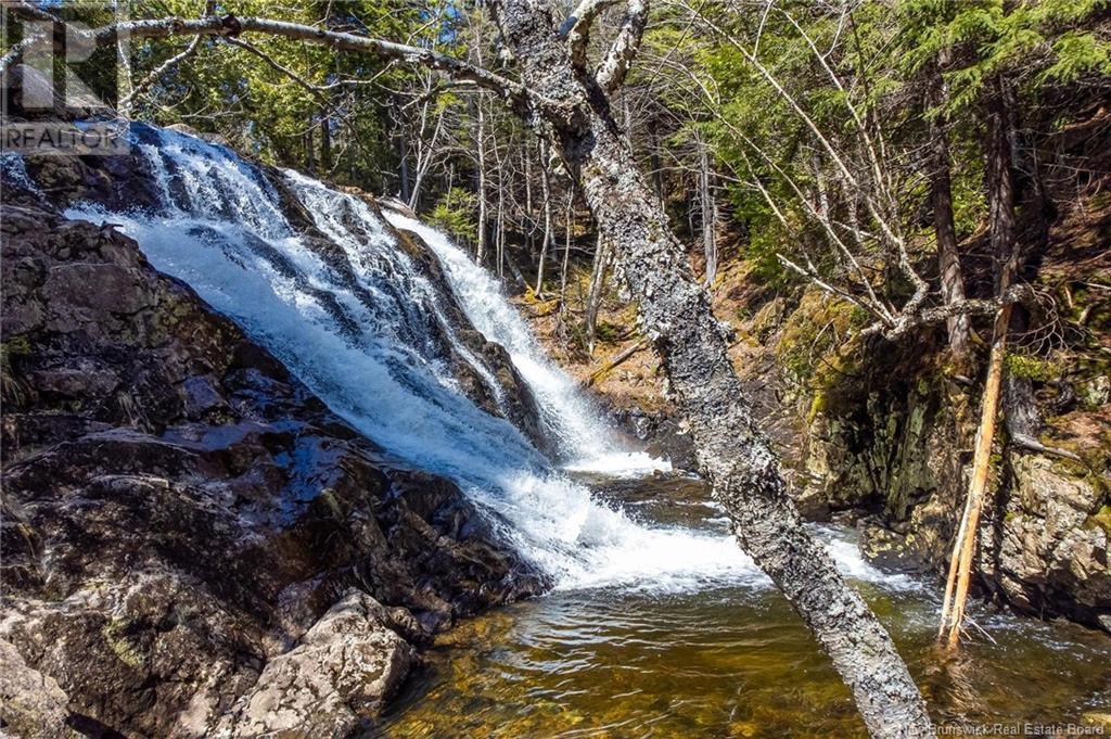 Lot Moss Glen Shore Road, Clifton Royal, New Brunswick  E5S 2C3 - Photo 2 - NB123274