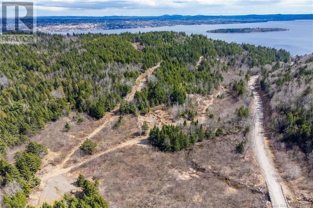 Lot Moss Glen Shore Road, Clifton Royal, New Brunswick  E5S 2C3 - Photo 20 - NB123274