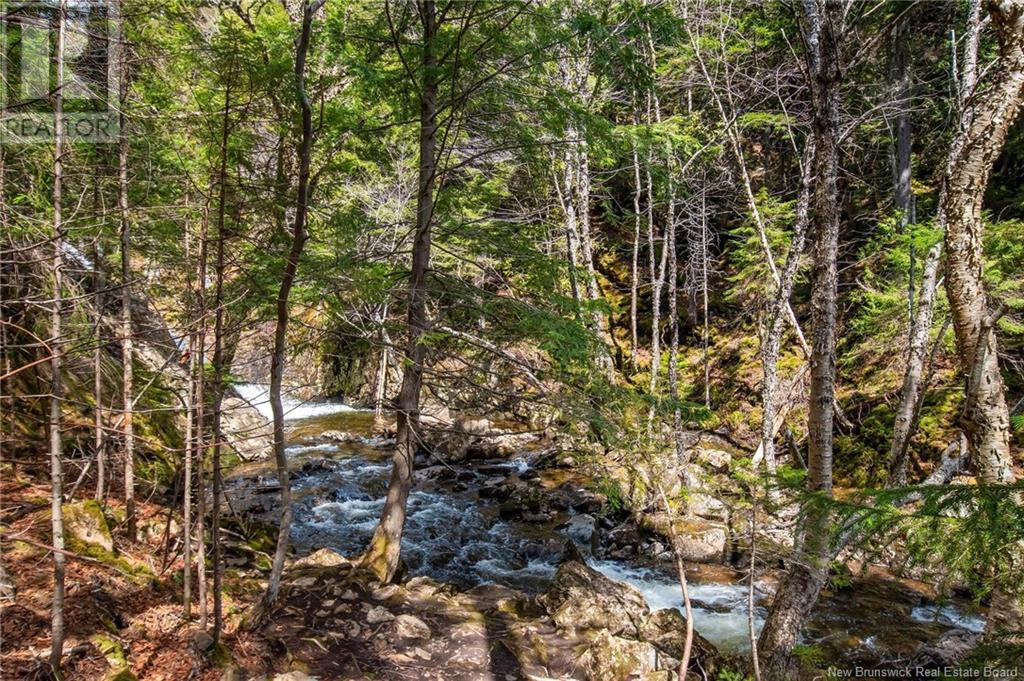 Lot Moss Glen Shore Road, Clifton Royal, New Brunswick  E5S 2C3 - Photo 22 - NB123274