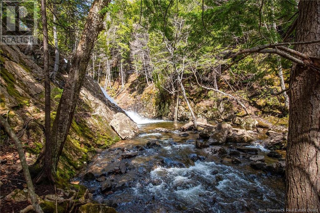 Lot Moss Glen Shore Road, Clifton Royal, New Brunswick  E5S 2C3 - Photo 24 - NB123274