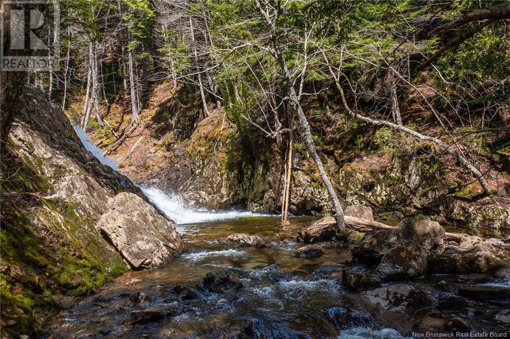 Lot Moss Glen Shore Road, Clifton Royal, New Brunswick  E5S 2C3 - Photo 25 - NB123274