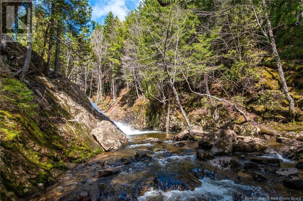 Lot Moss Glen Shore Road, Clifton Royal, New Brunswick  E5S 2C3 - Photo 29 - NB123274