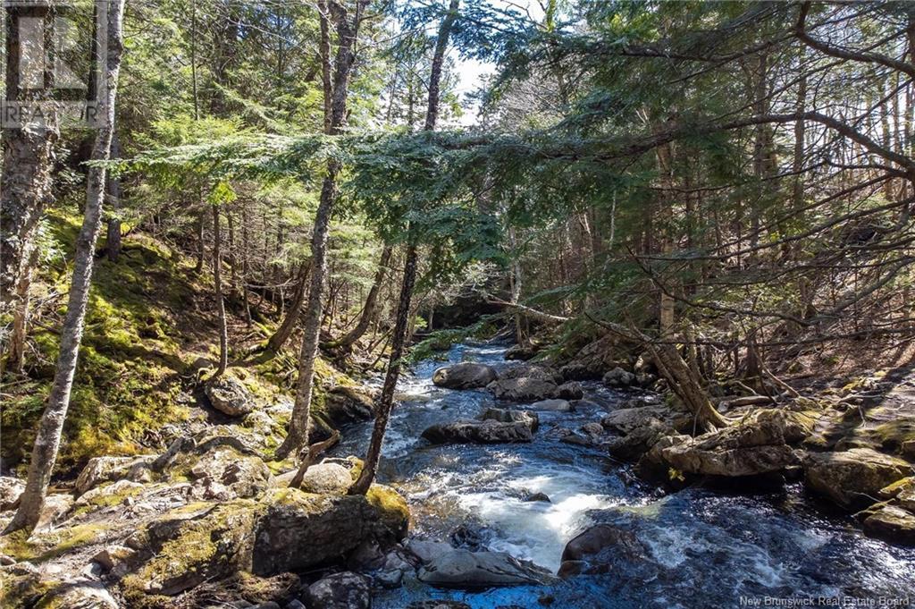 Lot Moss Glen Shore Road, Clifton Royal, New Brunswick  E5S 2C3 - Photo 5 - NB123274