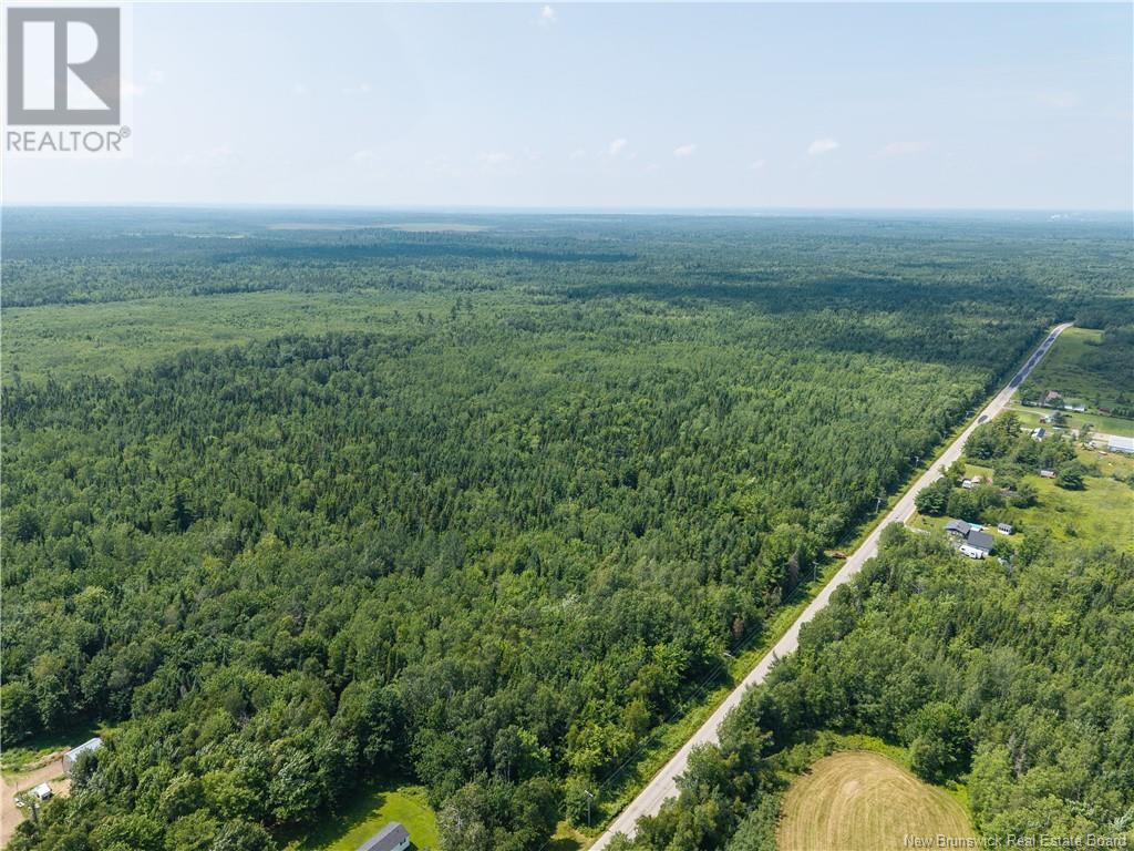 14-Hectares Woodlot - Napan, Napan, New Brunswick