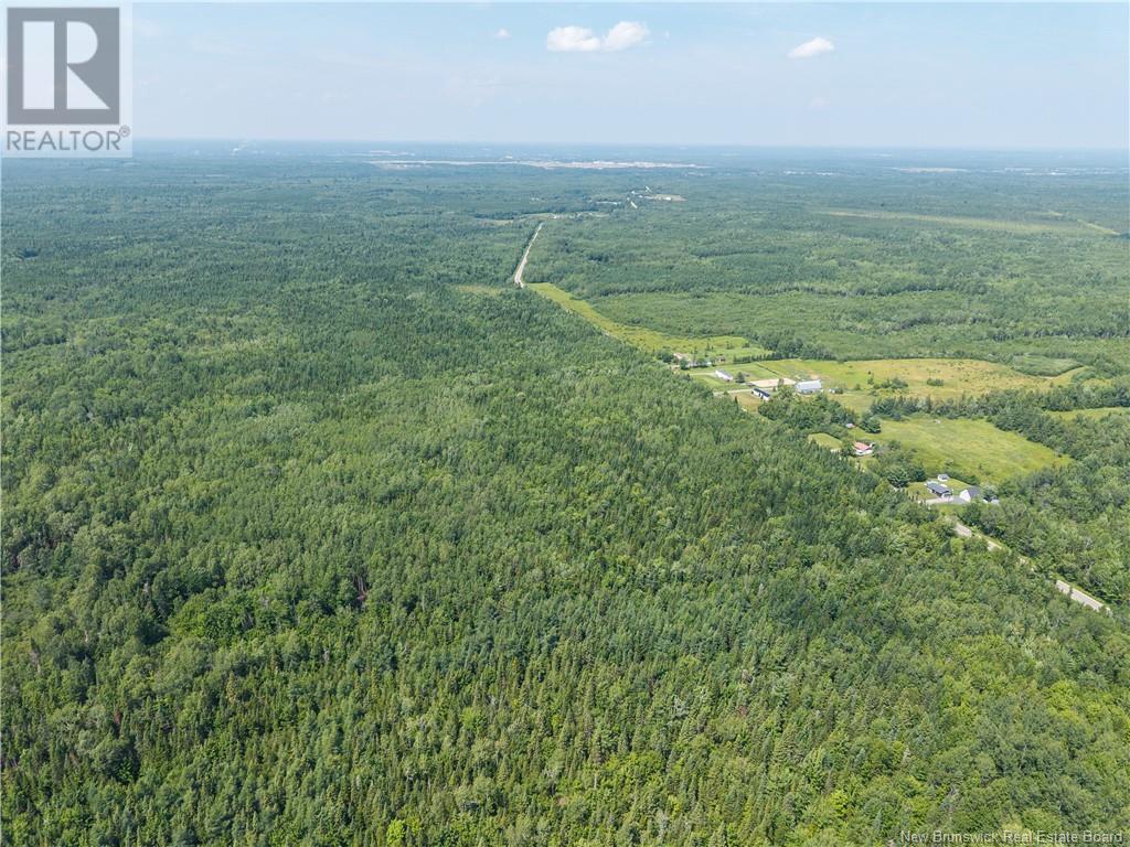 14-Hectares Woodlot - Napan, Napan, New Brunswick  E1N 5H4 - Photo 3 - NB123298