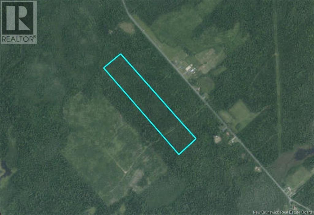 14-Hectares Woodlot - Napan, Napan, New Brunswick  E1N 5H4 - Photo 7 - NB123298