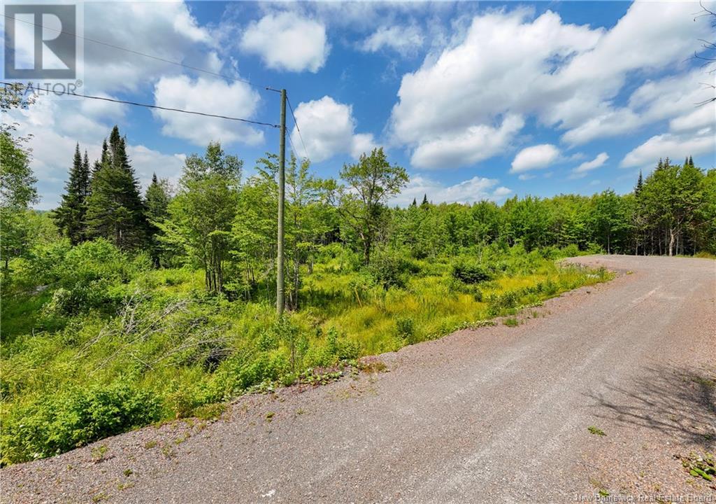2022-4 Birch Lane, Durham Bridge, New Brunswick  E6C 0A5 - Photo 27 - NB122927