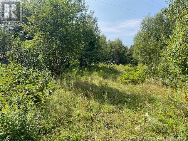 432 Taxis River Road, Upper Miramichi, New Brunswick  E6A 1B2 - Photo 2 - NB123358