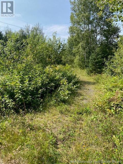 432 Taxis River Road, Upper Miramichi, New Brunswick  E6A 1B2 - Photo 3 - NB123358