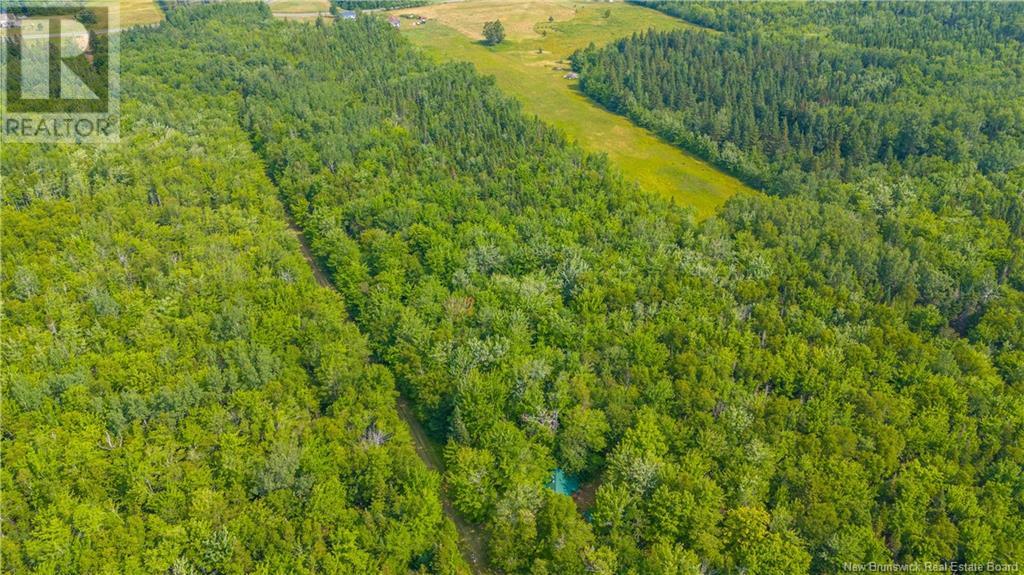 Lot Paquetville Road, Paquetville, New Brunswick  E8R 1E6 - Photo 22 - NB123357
