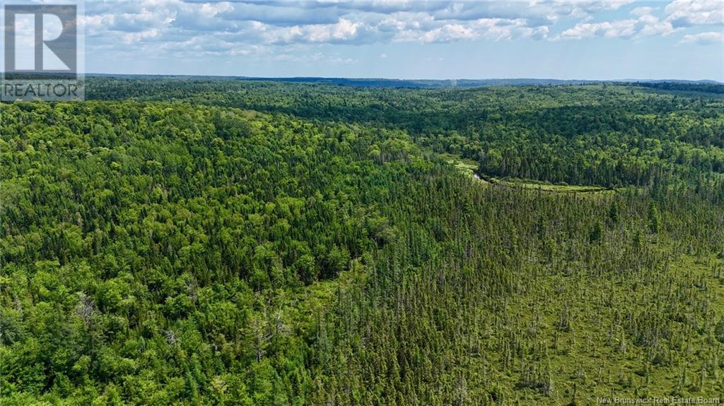 00 740 Route, Basswood Ridge, New Brunswick  E3L 5A8 - Photo 11 - NB123251