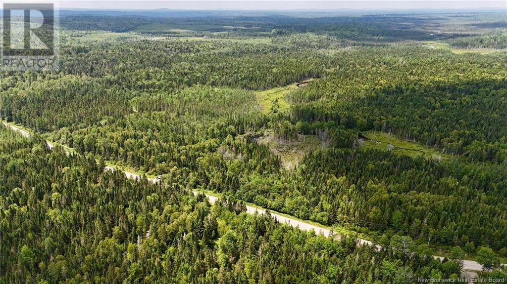 00 740 Route, Basswood Ridge, New Brunswick  E3L 5A8 - Photo 22 - NB123251