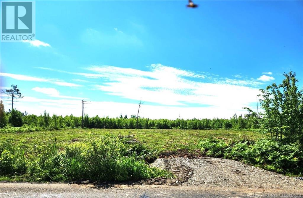 Lot Middlesex Rd., Salisbury, New Brunswick