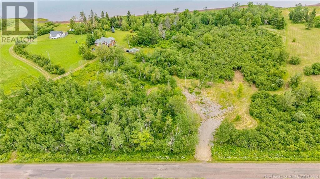 Lot Johnston Point Road, Johnston Point, New Brunswick  E4M 1P3 - Photo 17 - NB123410