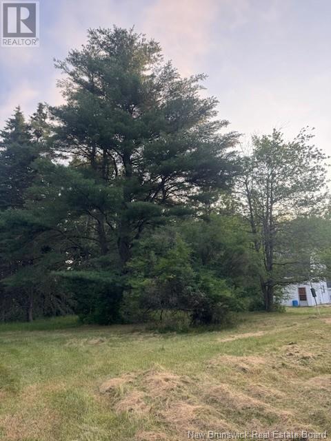 195 Morton Road, Wheaton Settlement, New Brunswick  E4Z 3V1 - Photo 2 - NB122882