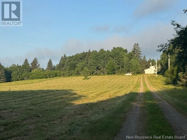 195 Morton Road, Wheaton Settlement, New Brunswick  E4Z 3V1 - Photo 32 - NB122882