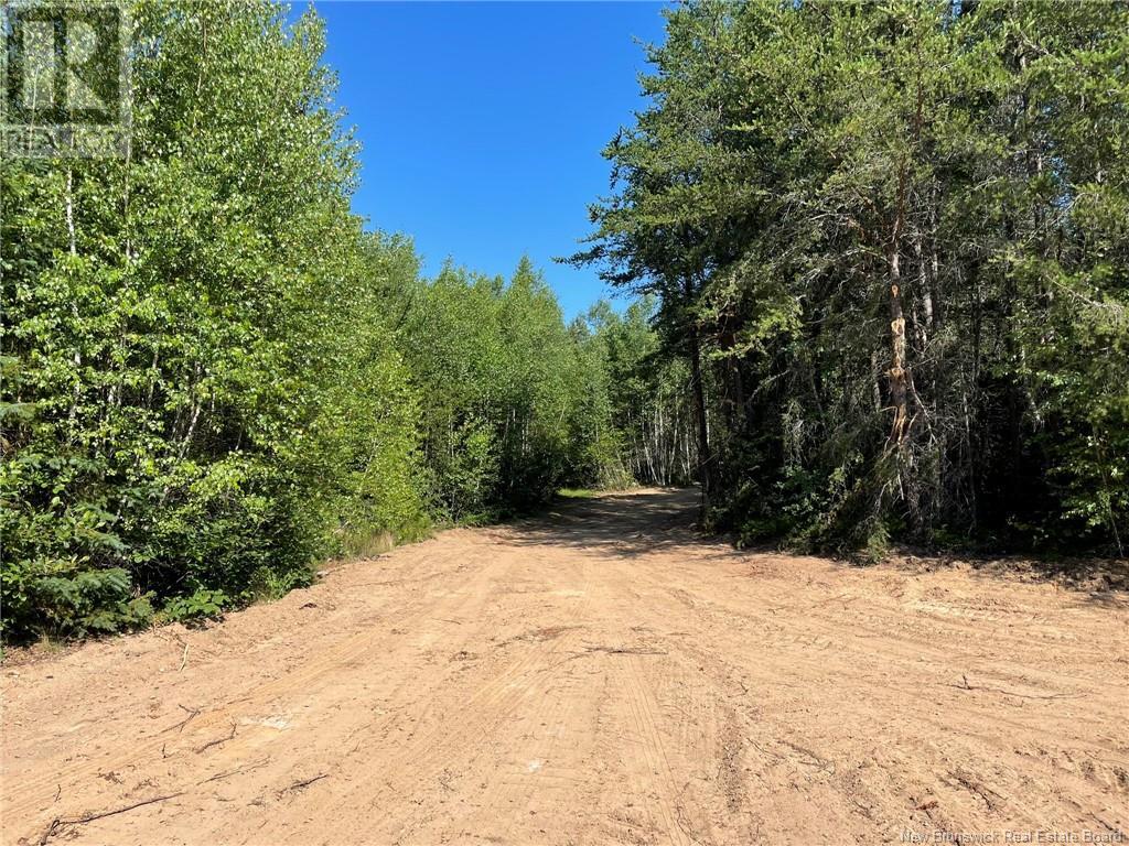 Lot Richard Hill Road, Shediac Bridge, New Brunswick