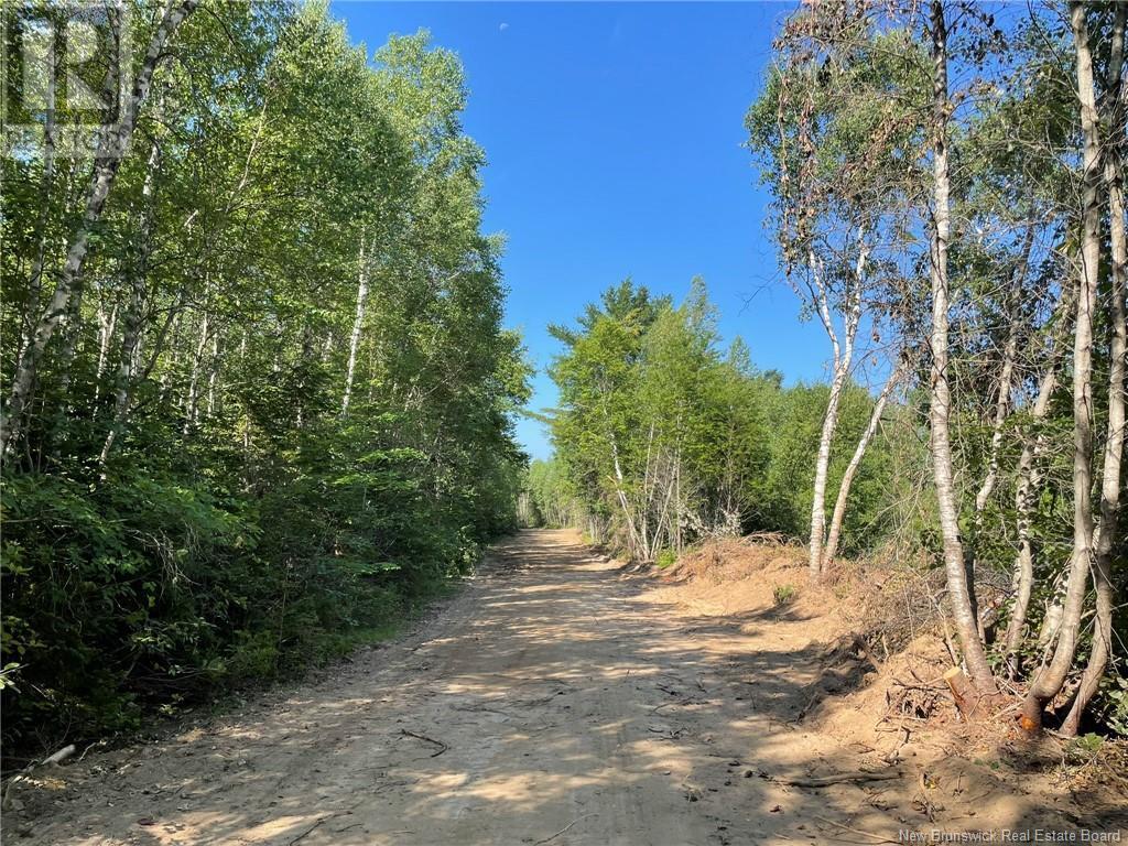 Lot Richard Hill Road, Shediac Bridge, New Brunswick  E4R 3M5 - Photo 5 - NB123414