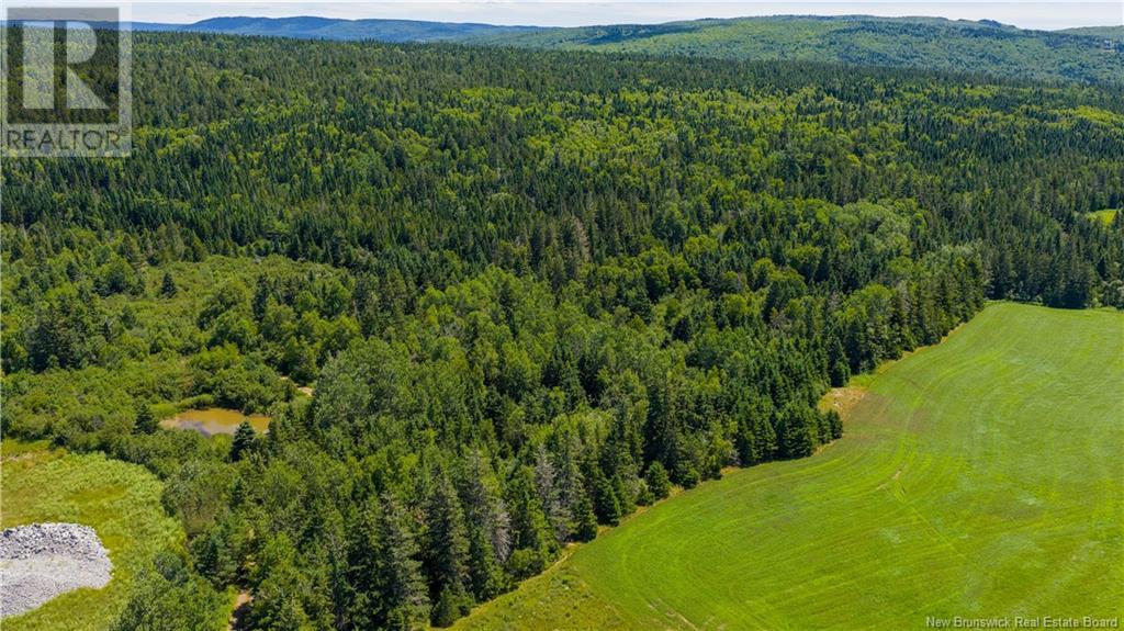 Lot Lakeside Road, Smithtown, New Brunswick  E5N 8A5 - Photo 3 - NB123229