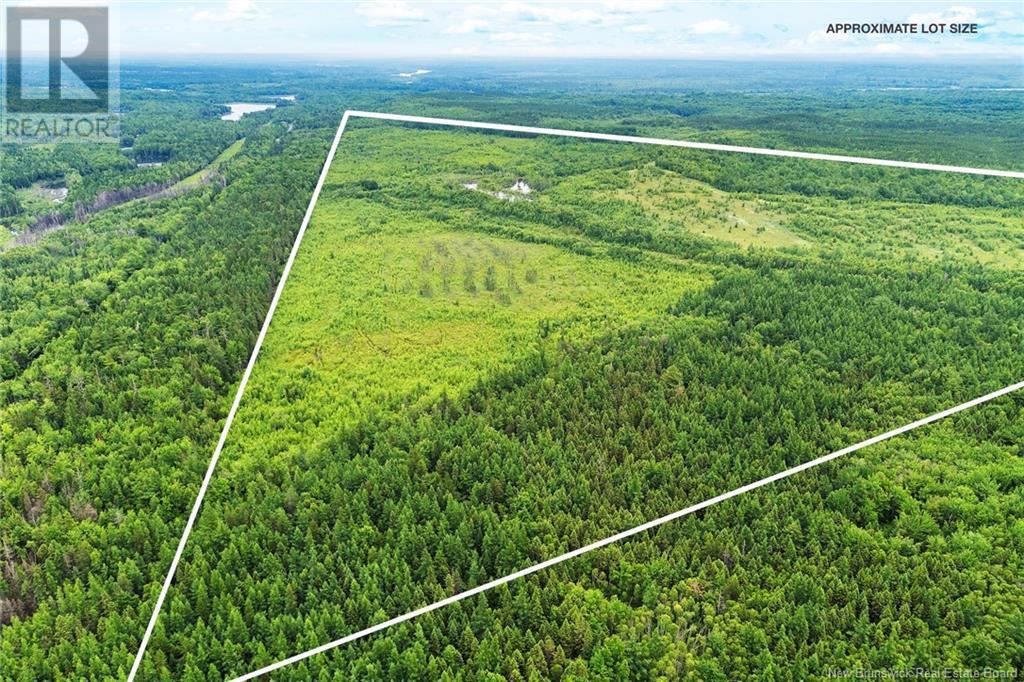 Lot Post Road, Midland, New Brunswick  O0O 0O0 - Photo 3 - NB123493