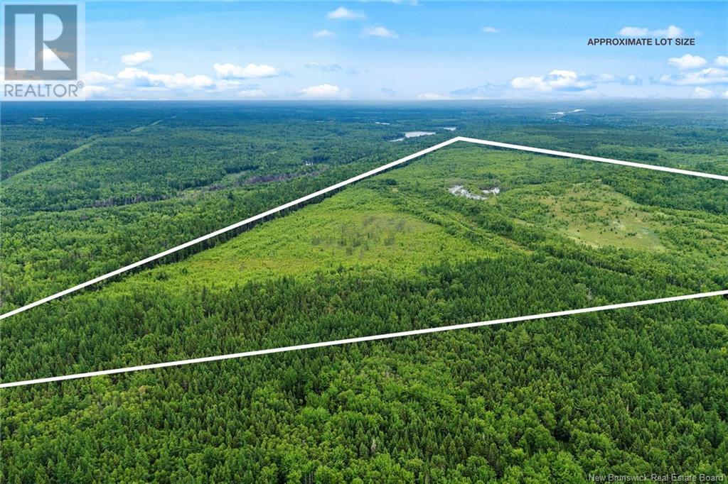 Lot Post Road, Midland, New Brunswick  O0O 0O0 - Photo 4 - NB123493