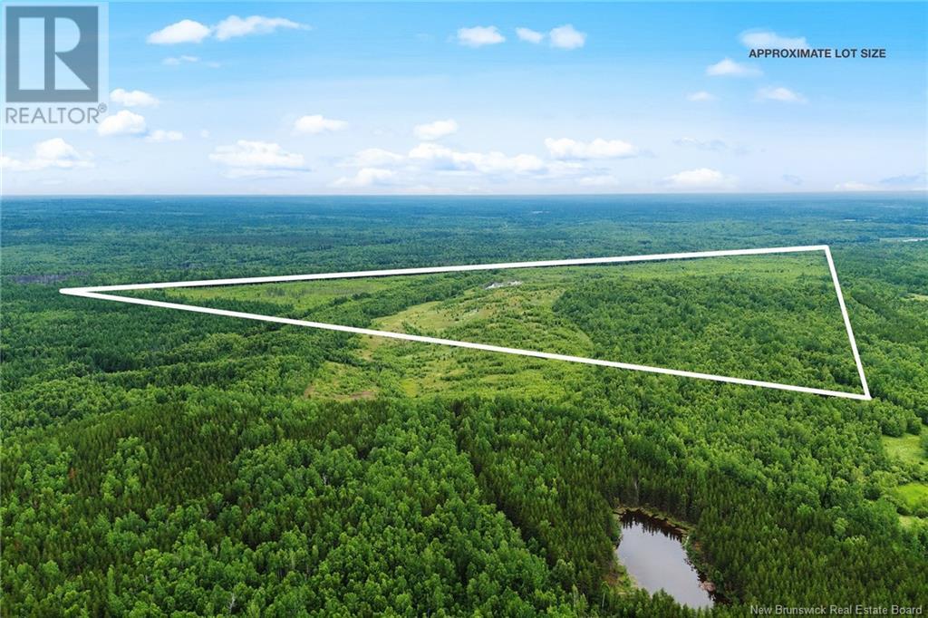 Lot Post Road, Midland, New Brunswick  O0O 0O0 - Photo 5 - NB123493